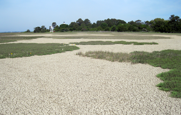 Salt pan